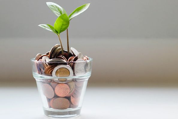 基金投顧業務，怎么“顧”？怎么投？